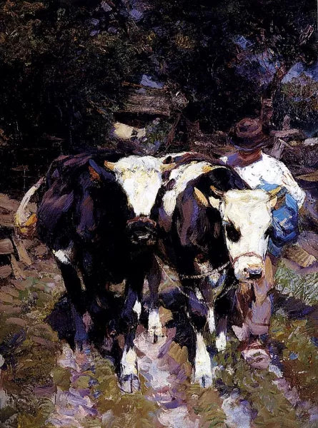 Two Harnessed Calves