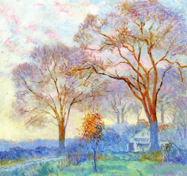 Elms at Sunrise