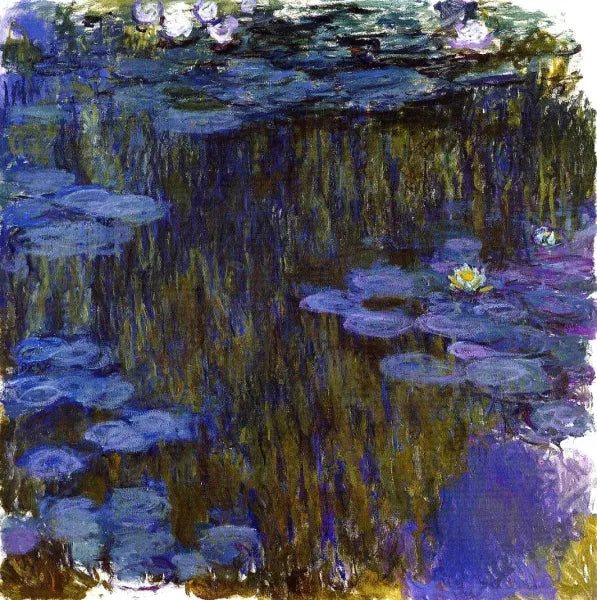 Water-Lilies 17