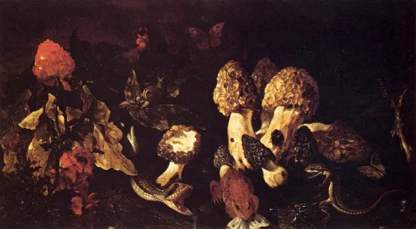 Still-Life with Fungi