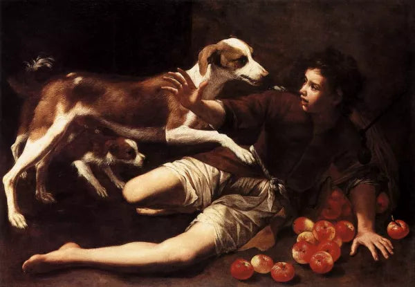 Boy Attacked by a Dog