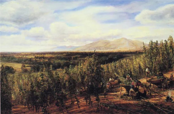 The Hop Gardens