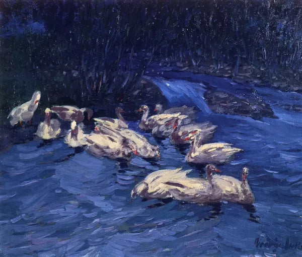 Wild Geese