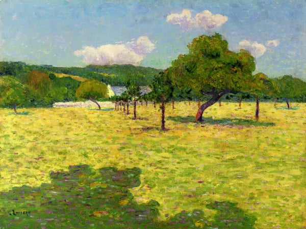Field and Hills