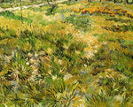 No Frame (Rolled in a Tube)