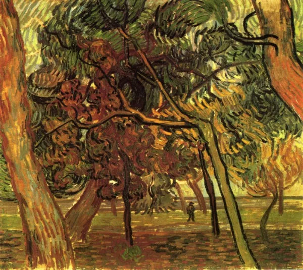Study of Pine Trees