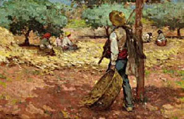 hombre en el Campo