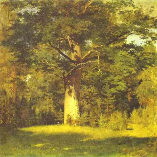 Oak