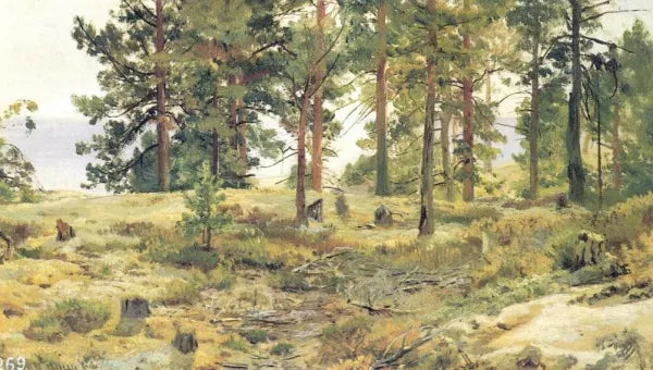 On Sandy Ground