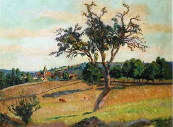 View of Crozant
