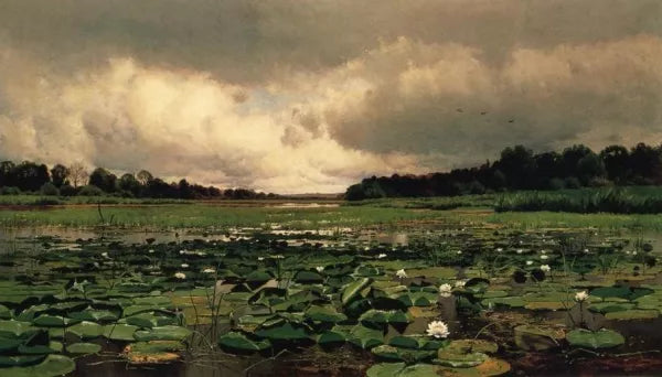 The Lily Pond