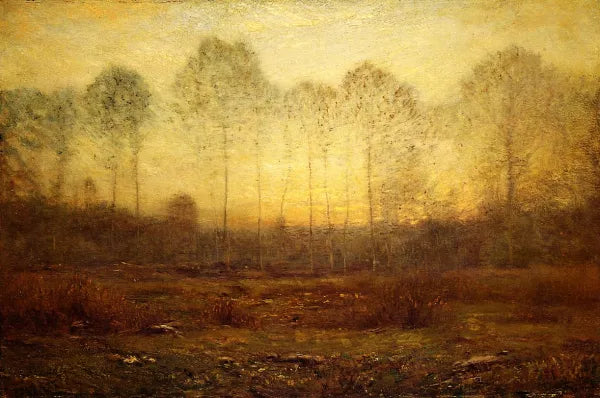 Evening Fog