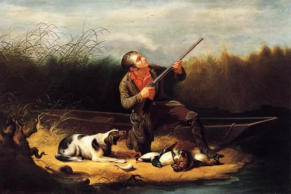 Wild Duck Shooting - On the Wing