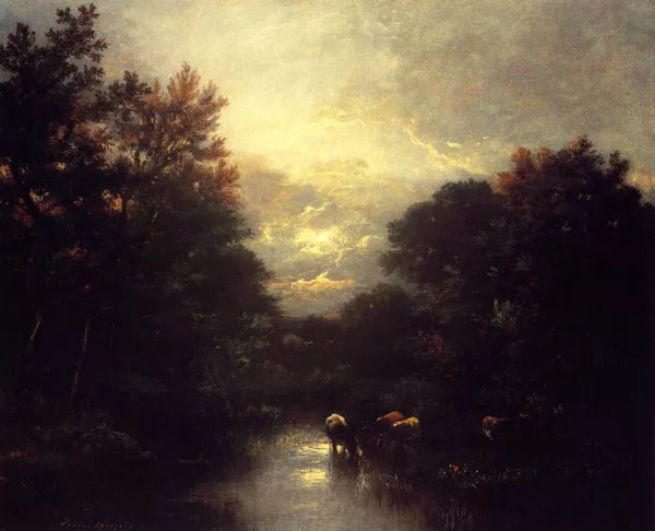 Sunset over the Forest
