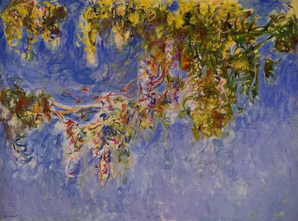 Wisteria