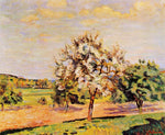 No Frame (Rolled in a Tube)