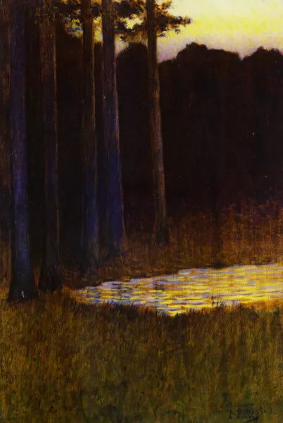 La Foret Le Soir