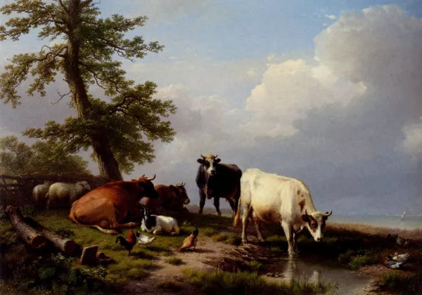 Animals Grazing Near The Sea