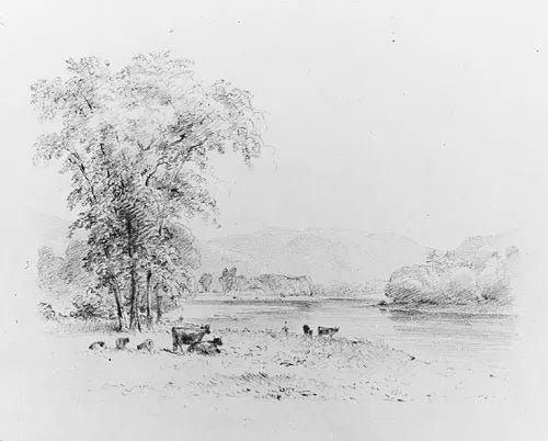 Susquehanna Below Nanticoke, Pennsylvania