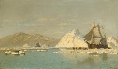 Off Greenland - Whaler Seeking Open Water