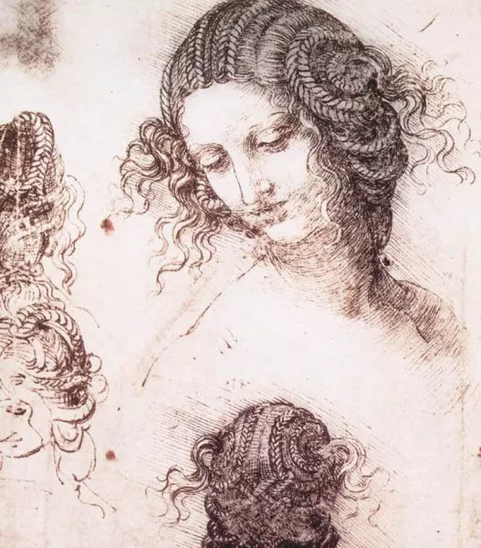 Head of Leda