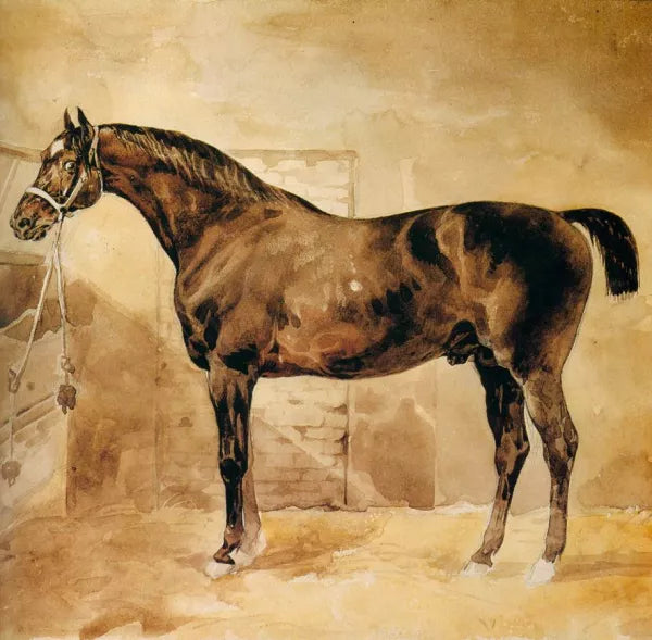English Horse in Stable