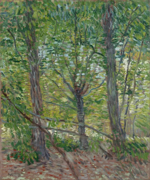 Trees