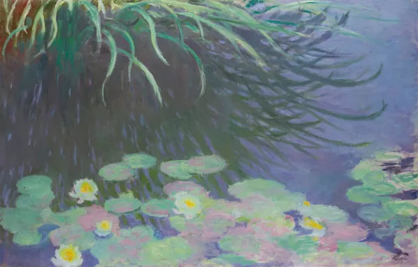 Nympheas Avec Reflets De Hautes Herbes