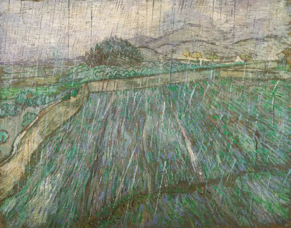 Rain