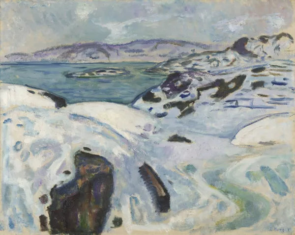 Winter on the Fiord